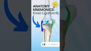 Knee Ligaments Anatomy Mnemonic #anatomy #mnemonics #physicaltherapy