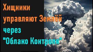 Хищники управляют Землёй через  «Облако контроля» над планетой.