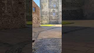 First look of the Dover Castle #dover #castle #king #queen  #uk #oldisgold #1000years #shorts