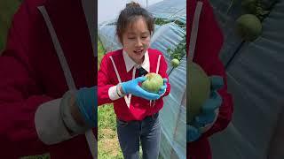 Beautiful nature farm fruit #PS125 #farming #fruit #shorts #shortvideo