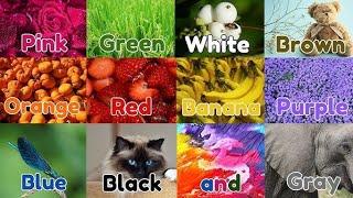 Colors Song|Learn The Colors/Colours,Nursery Rhymes, Red Red STRAWBERRIES  Red Apples on the tree