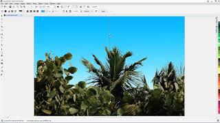 Interactive Fill