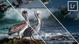 Lightroom HSL Tutorial for Beginners