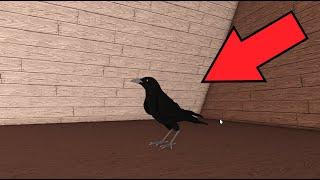 THIS IS THE BEST RAVEN IN ANIMAL LIFE: FOREST ROLEPLAY!!