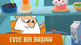 EVDE BİR BAŞINA