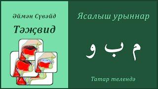 17. Ясалыш урыннары: ҮӘҮ, БӘ, МИМ| Әймән Сүвәйд (татарча субтитрлар)