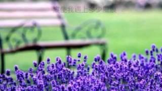 得祢愛我 (團契遊樂園5﹣應許)