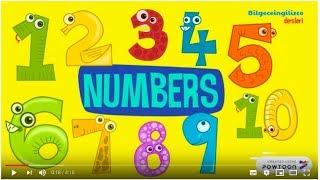 2.sınıf İngilizce 4.ünite(NUMBERS)