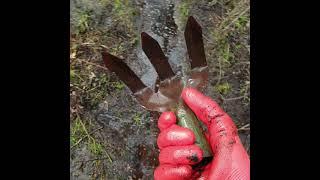 Scary tool in the swamp