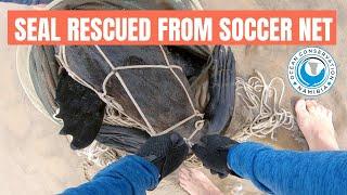 SEAL trapped in full SOCCER NET