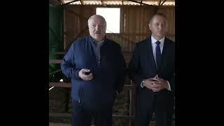 Лукашенко рассказал, как надо строить коровники: "Корове дворец не нужен!!!"