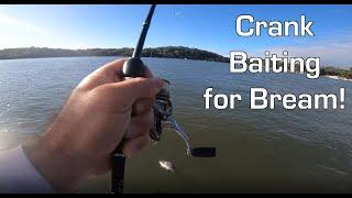 Fishing for Bream with Crank Baits