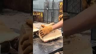 Oak wood splitting #recommended extreme woodworking 🪓🪓🪓