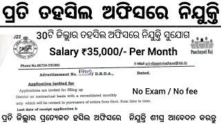 Odisha Tahasil Office New Recruitment 2025 ! Salary 35,000 Per Month ! Odisha Govt Job Vacancy