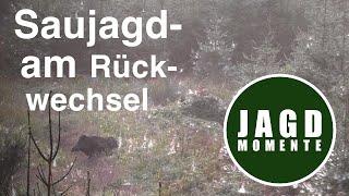 JagdMomente | Folge 4 | Saujagd am Rückwechsel