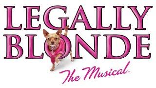 Legally Blonde The Musical