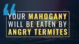 Your Mahogany is NOT safe from Termites!