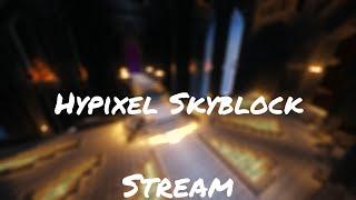 It's been a while... (Hypixel Skyblock)