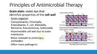 Pharmacology for Anesthesia   11 Antimicrobials Part 1