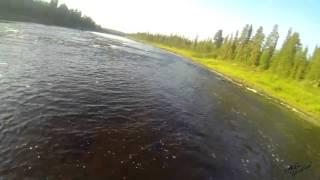 сёмга нахлыстом онлайн / Salmon flyfishing online