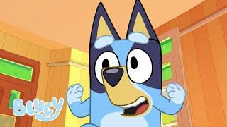 Perro hamburguesa | PEQUEÑAS HISTORIAS DE BLUEY | Bluey Español Canal Oficial