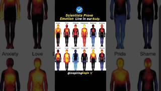 Scientists Prove Emotions live in our body. #facts