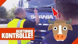 LKW hat HÖRNER!  Windschutzscheibe blockiert!  |2/2| Kabel Eins | Achtung Kontrolle