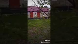 МАЛИНА ВМЕСТО КАРТОШКИ | Ирина Чурикова | КАК Я ПЕРЕДЕЛАЛА ОГОРОД НА САД. ЛАЙФХАК. Like. Vlog. Life.