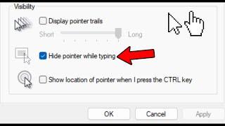 How To Hide Mouse Cursor While Typing in Windows