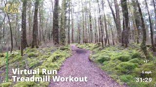 Virtual Run | Virtual Running Videos Treadmill Workout Scenery | Kepler Track Forest 1 Hour