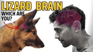 Overcome your lizard brain #ketamine - Dr. Kaveh LIVE (special guest)