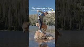 Nala stomps, zoomies, snow, swimming and rolling in fish 
