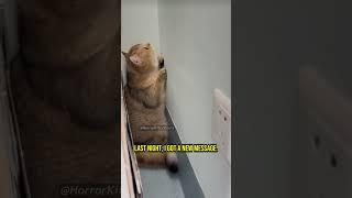These Cats Witnessed an Unimaginable Horror - Chapter 45 #cat #creepy #creepypasta #creepystories
