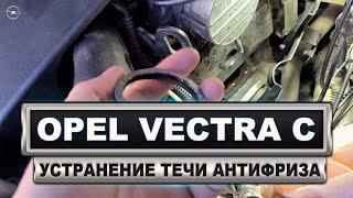 Opel Vectra C Устранение течи антифриза на дизельном двигателе Y22DTR