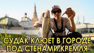 Ловлю судаков в центре города, но как поднять их на парапет?! Рыбалка на микроджиг.