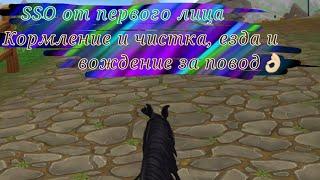 Star Stable Online от первого лица|•| SSO|•|