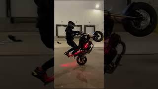 GROM WHEELIES (BIKELIFE) SCRAPED THE GROM