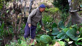 Farming in the Himalayas: A Typical Day in a Nepali Village || jungle man working in his village ||