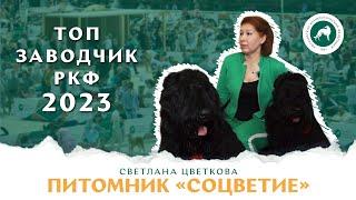 Питомник «СОЦВЕТИЕ». Светлана Цветкова – победитель конкурса «Топ заводчик РКФ 2023»