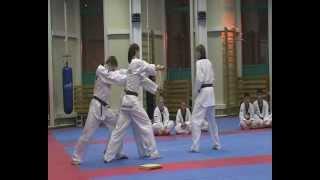 Taekwondo WTF,1 Dan examination,kyok-pa