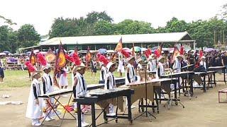 Vlog #625 #DLC Basud Elem. sch. Vinzons day Tacboan Festival 2024 Amazing Performance.