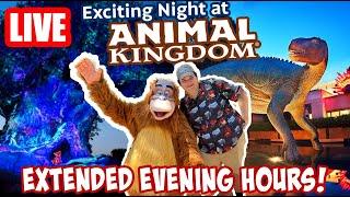 Live: Extended Evening Hours at Animal Kingdom! - Rides & New Mufasa Show - Disney World Livestream