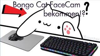 BongoCat FaceCam/Katzen FaceCam  ganz einfach bekommen (Deutsch/German)