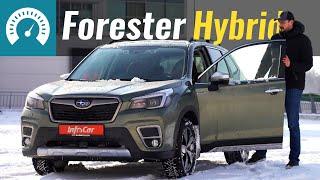 Новый Forester Hybrid. Реальный расход e-BOXER?