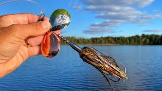 MUSKY Pond Fishing - 6 Fish Day!!