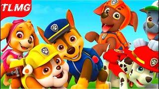 Paw Patrol On A Roll Gameplay - Щенячий Патруль: Прохождение игры - Часть 10