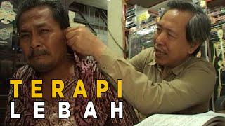 Sehat dengan sengat lebah | SISI LAIN