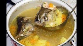 Съел рыбу, а что с головами делать? Самая вкусная УХА из голов рыбы