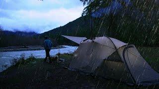 Solo Camping in Heavy Rain with my Dog - Hot Tent Wood Stove | ASMR |