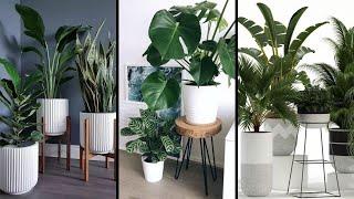 40 Modern Indoor Plants Decor Ideas / Interior Design / Best Houseplants Design Ideas